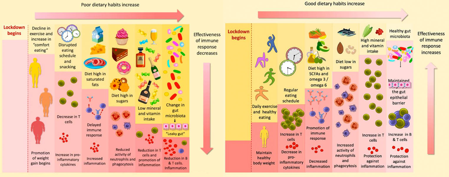 Importance of Dietary Changes During the Coronavirus Pandemic: How to Upgrade Your Immune Response