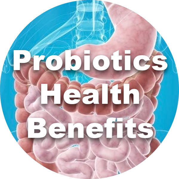 Highest Potency Probiotic Supplements For Children And Adults